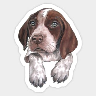 German Shorthaired Pointer puppy Sticker